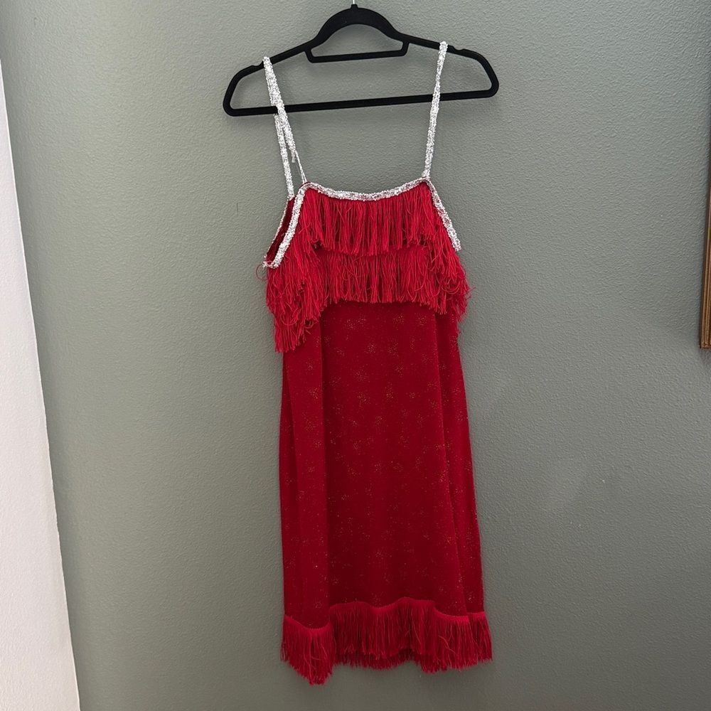 Red Flapper Dress Sleeveless Fringe Handmade Jazz Age 1920s Costume Sz L Velour